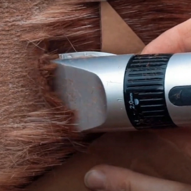 Хоби машинка за подстригване на коне - Mini Clipper