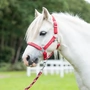 Снимка 1 на Red pony halter - My Lucky Pony